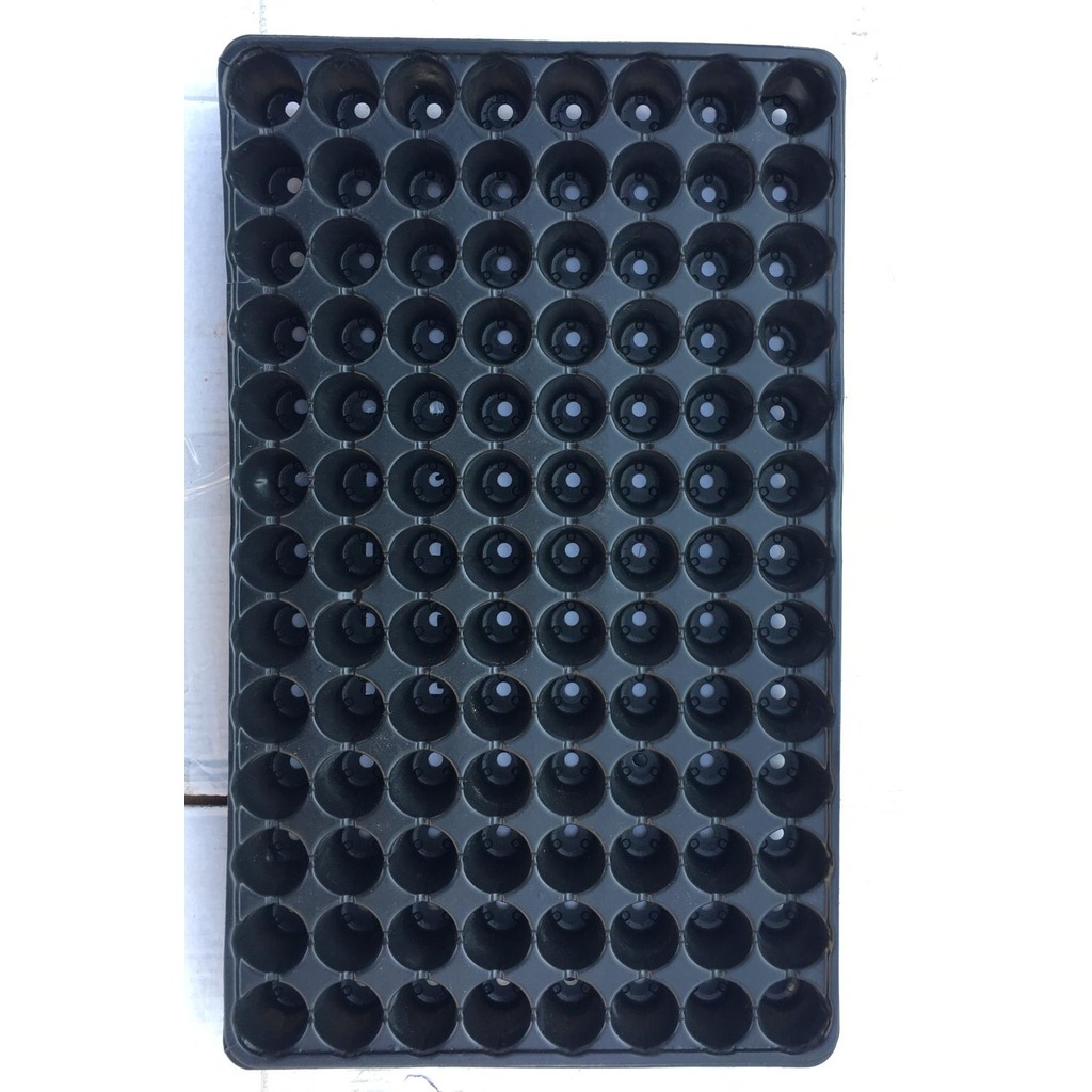 104 Gözlü Fide Ekim Viyolü 10 Adet-2