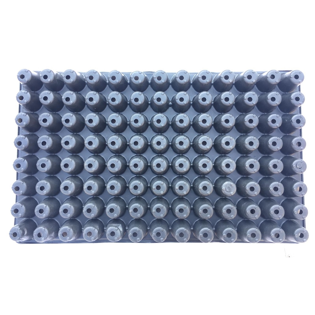 104 Gözlü Fide Ekim Viyolü 10 Adet-3