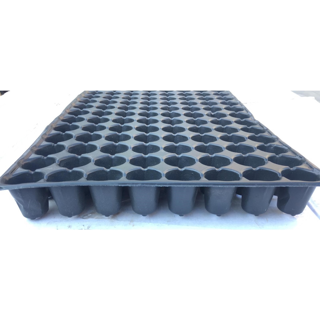 104 Gözlü Fide Ekim Viyolü 10 Adet-4