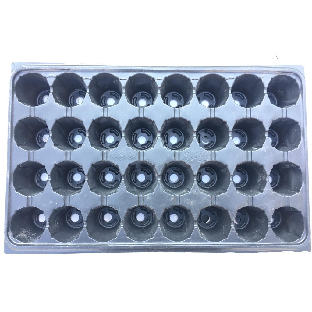 32 Gözlü Fide Ekim Viyolü 10 Adet-2