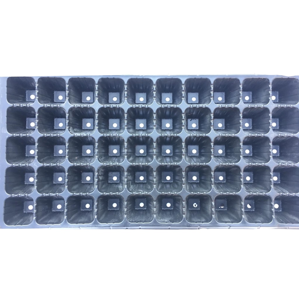 50 Gözlü Fide Ekim Viyolü 10 Adet-1