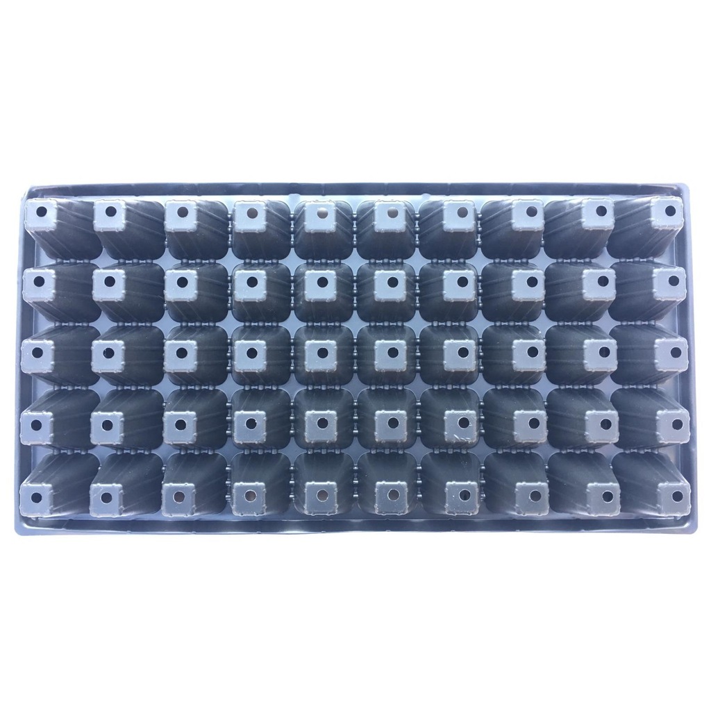 50 Gözlü Fide Ekim Viyolü 10 Adet-2