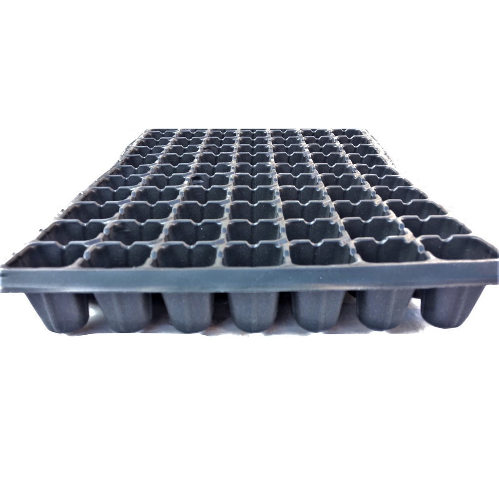 84 Gözlü Fide Ekim Viyolü 10 Adet-1