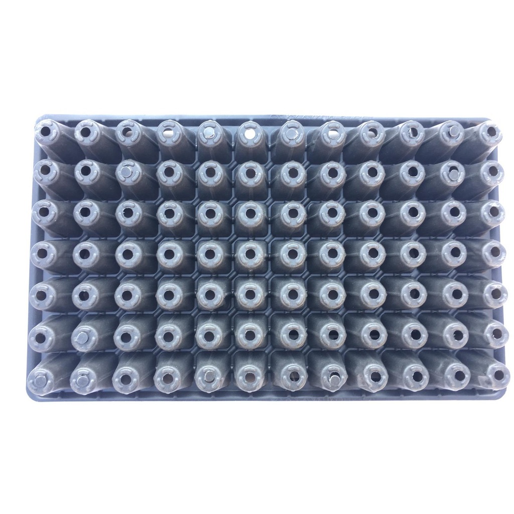 84 Gözlü Fide Ekim Viyolü 10 Adet-2