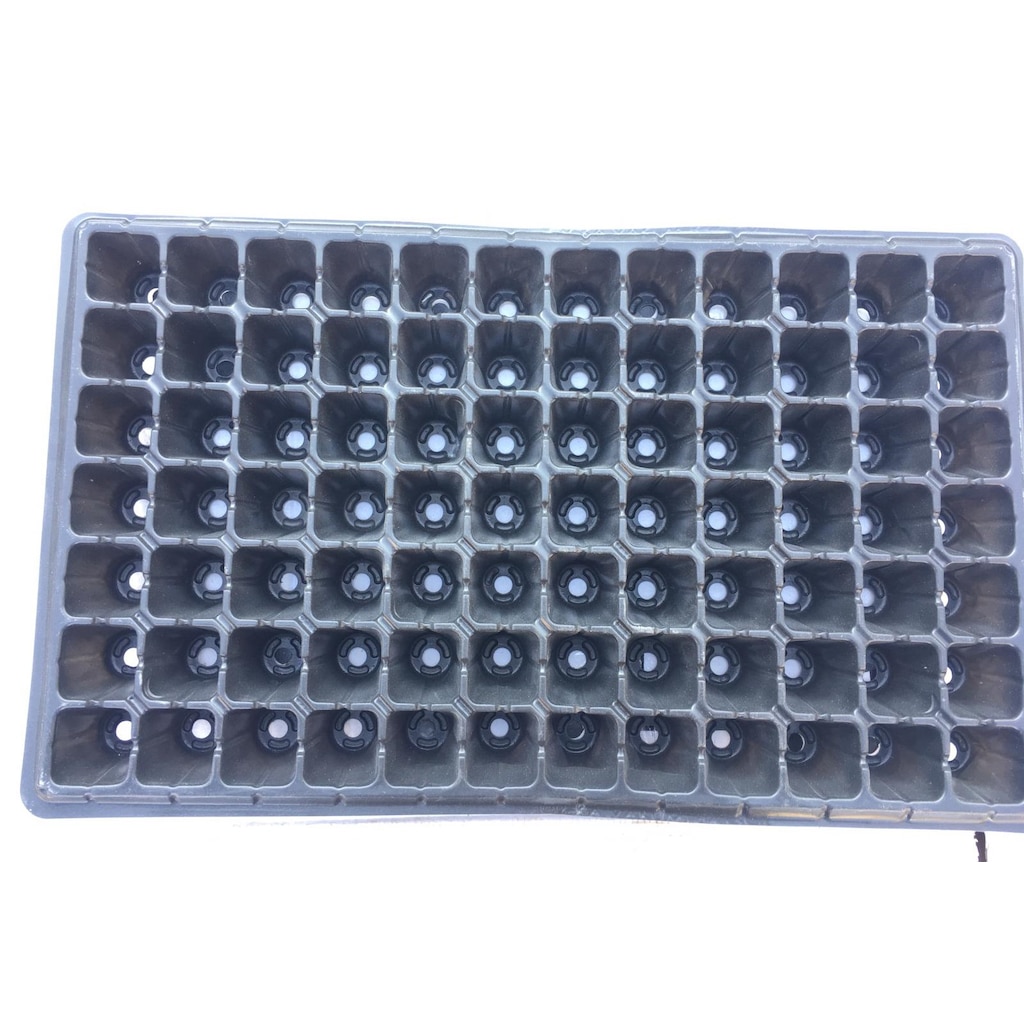 84 Gözlü Fide Ekim Viyolü 10 Adet-3