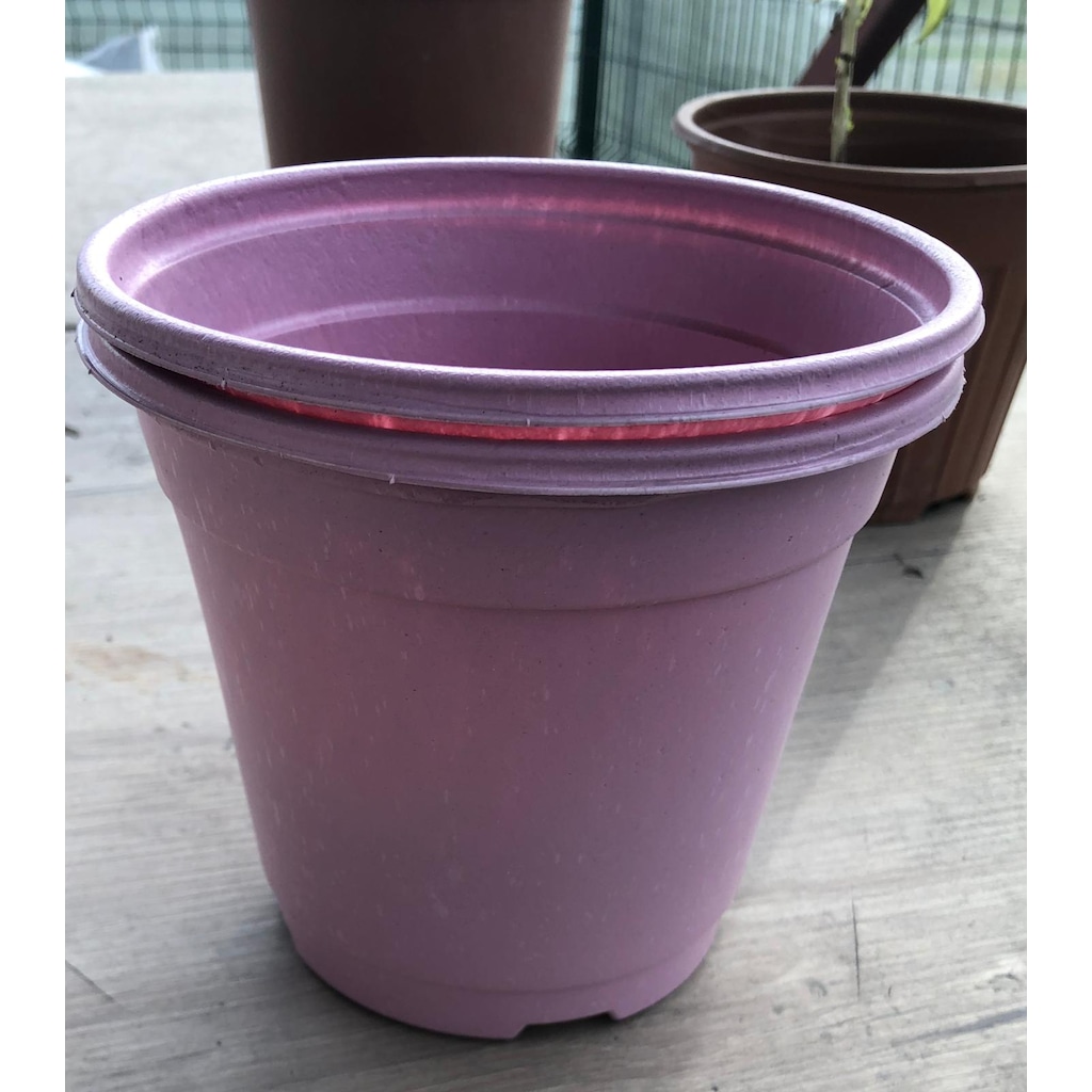 Yuvarlak Vakum Ucuz Çiçek Fide Fidan Üretim Saksısı 15cm 100 Adet-2