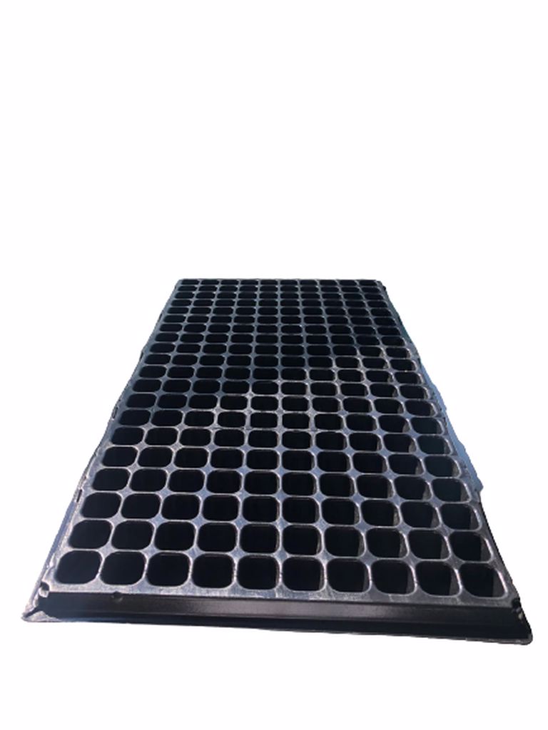 200-1-removebg-preview_768x1024